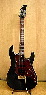 Shin's Guitar